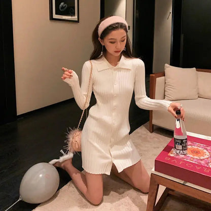 Thin Slim Knitted Sweater and Base Skirt Combo